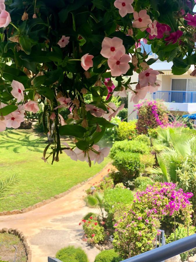 Paradise Gardens With A Large Terrace Paphos Eksteriør bilde