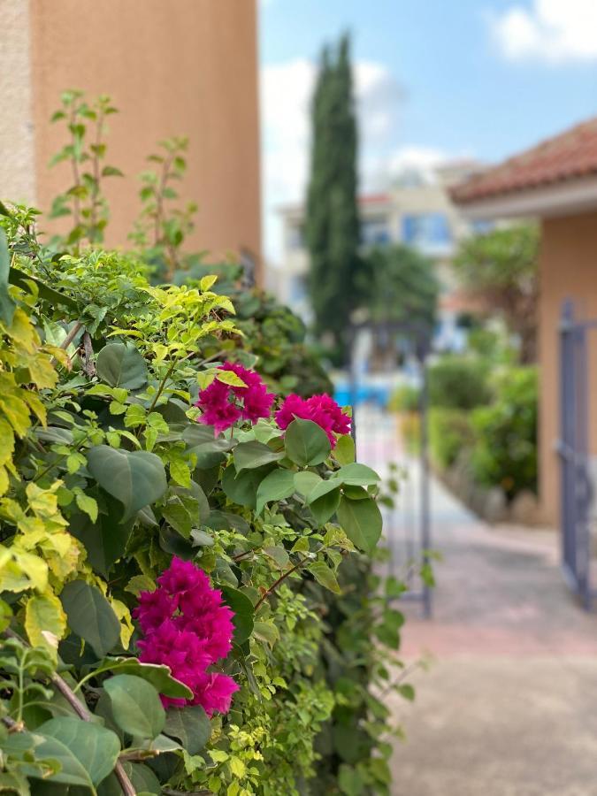 Paradise Gardens With A Large Terrace Paphos Eksteriør bilde
