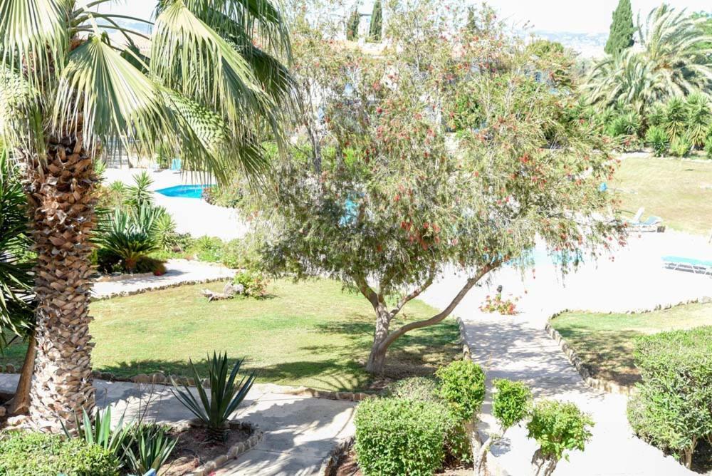 Paradise Gardens With A Large Terrace Paphos Eksteriør bilde